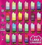 LANA Bar 5000口電子煙 全口味合集